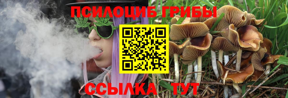 Калуга  Галлюциногенные грибы мицелий  Вход с VPN  купить наркотик  Псилоцибиновые грибы ЛСД 
